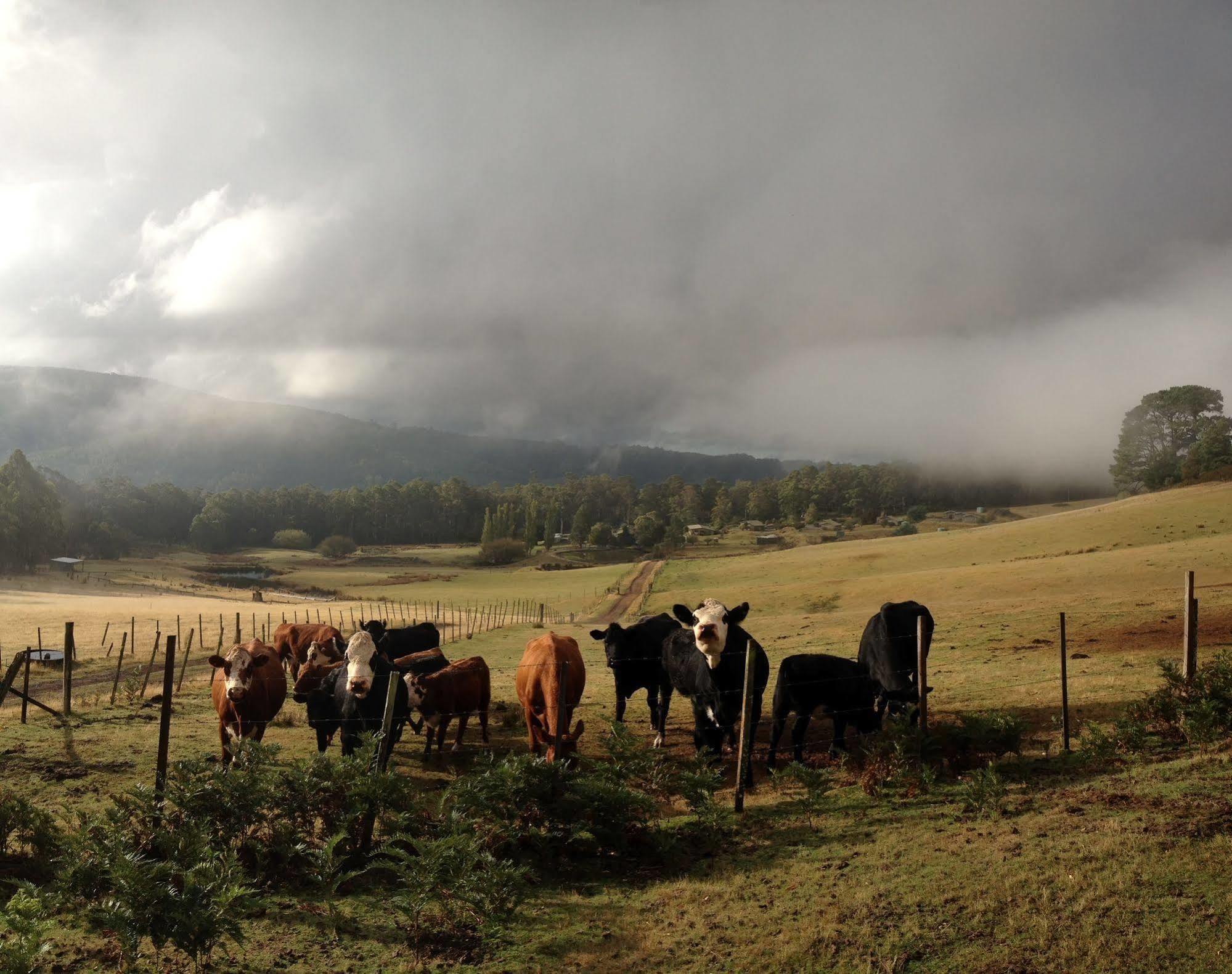 Silver Ridge Retreat Sheffield Bagian luar foto